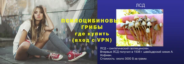 сатива Коряжма