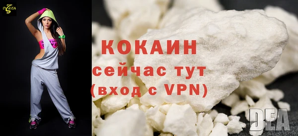 сатива Коряжма