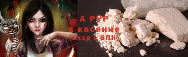 прущие крисы Корсаков