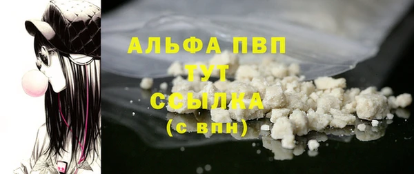 сатива Коряжма
