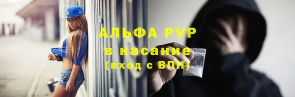 сатива Коряжма