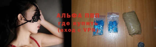 прущие крисы Корсаков