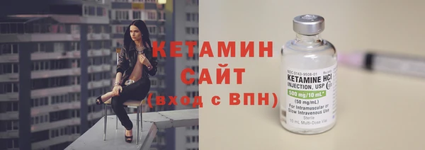 сатива Коряжма
