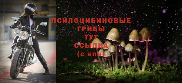 сатива Коряжма