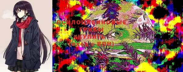 сатива Коряжма