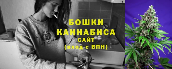 сатива Коряжма