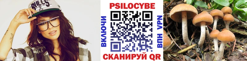 Псилоцибиновые грибы GOLDEN TEACHER  Купить  Бутурлиновка 